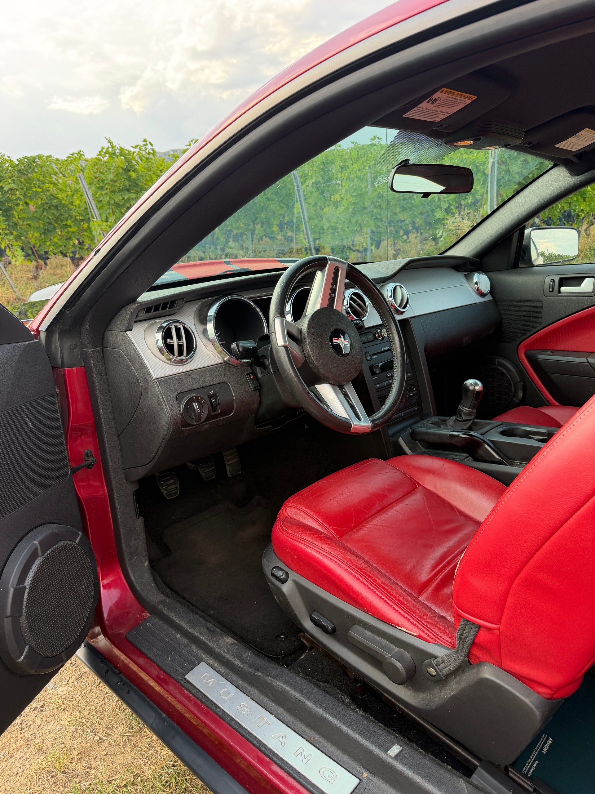FORD MUSTANG-image-3