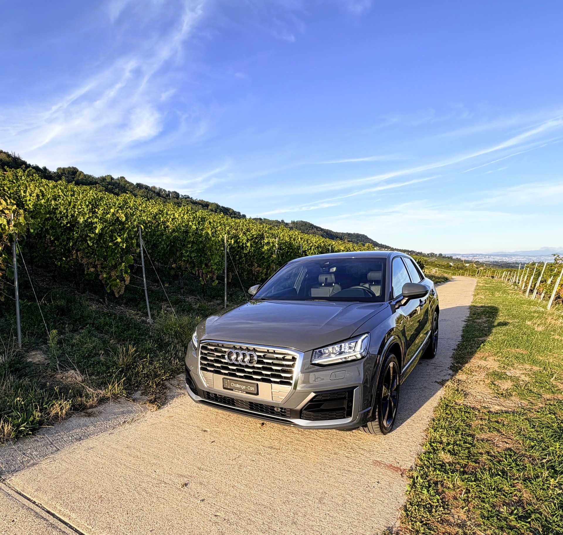 AUDI Q2 40 TFSI Sport quattro S-tronic-showroom-element-1