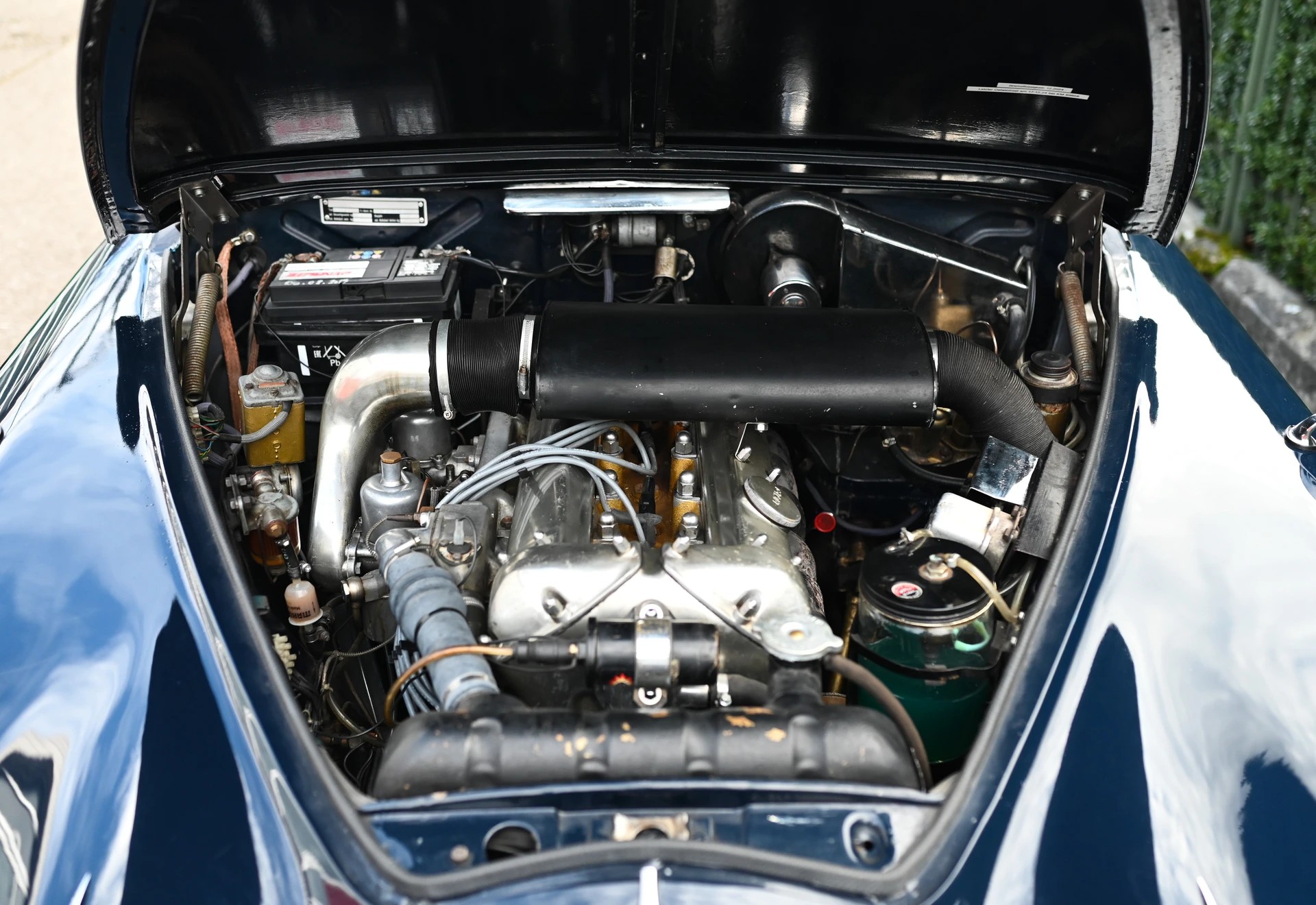 JAGUAR KOMPLETT REVIDIERT.-image-4