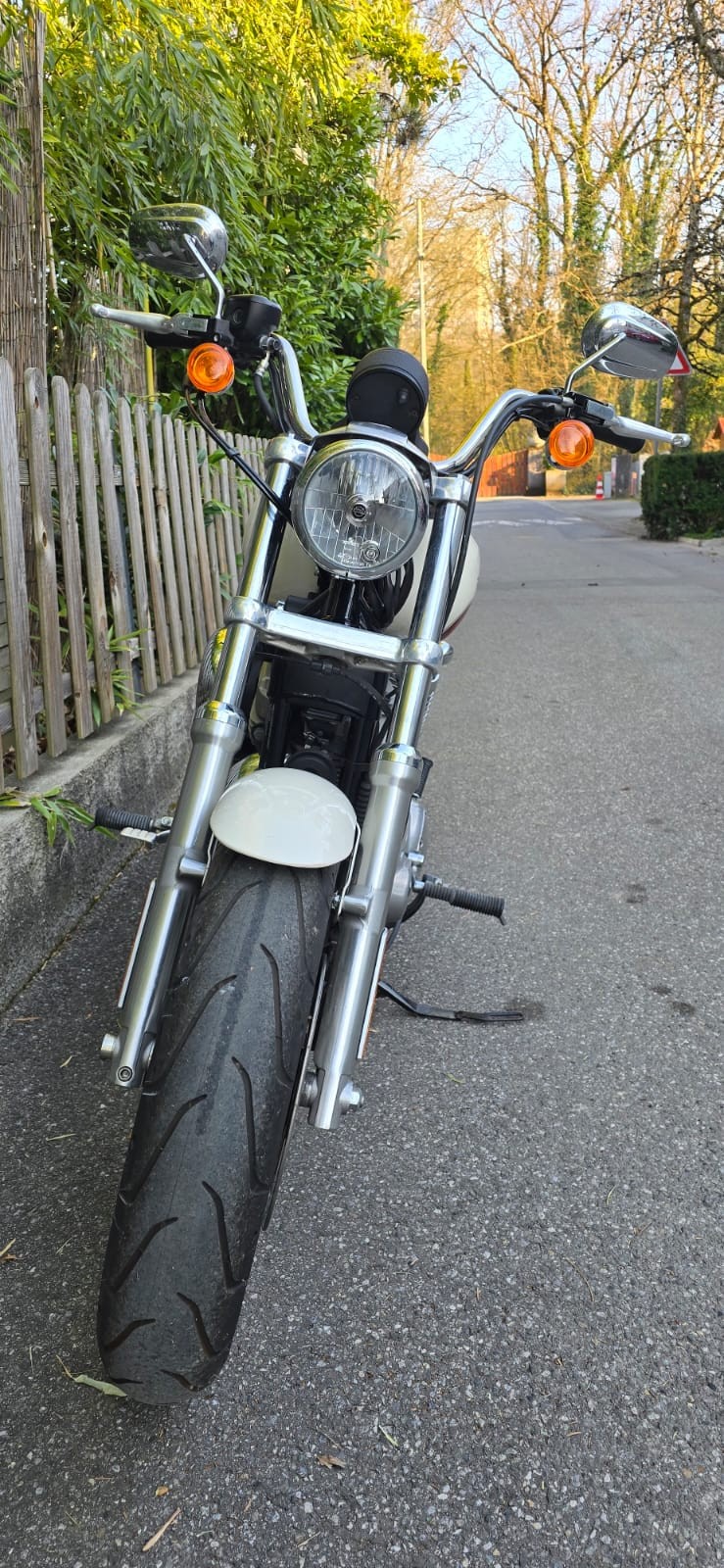 HARLEY-DAVIDSON XL 883 L Sportster Super Low-image-7