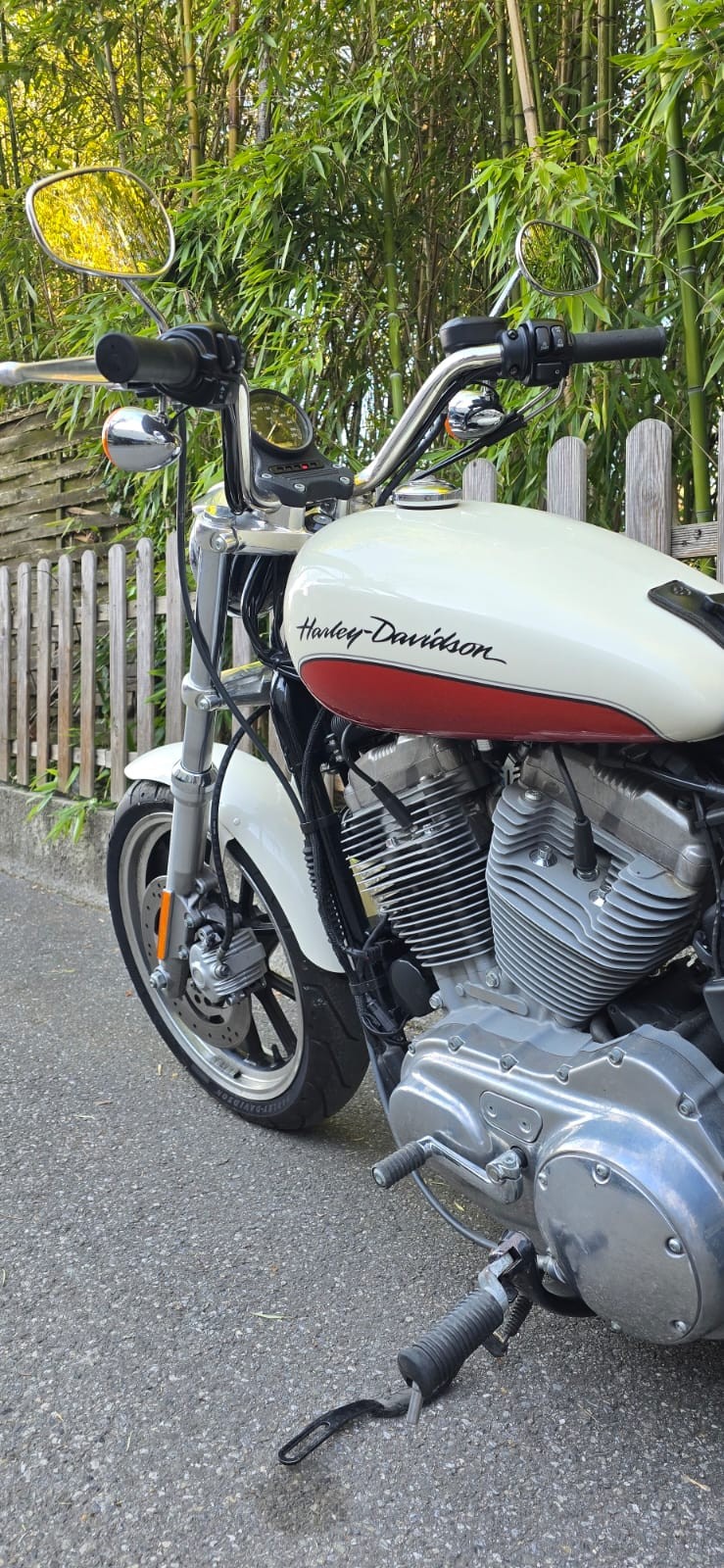 HARLEY-DAVIDSON XL 883 L Sportster Super Low-image-6