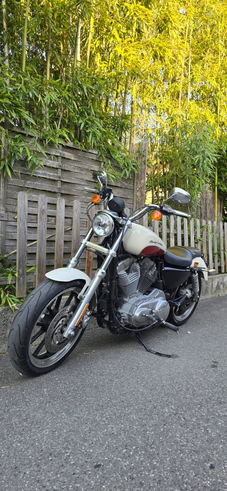HARLEY-DAVIDSON XL 883 L Sportster Super Low-image-4