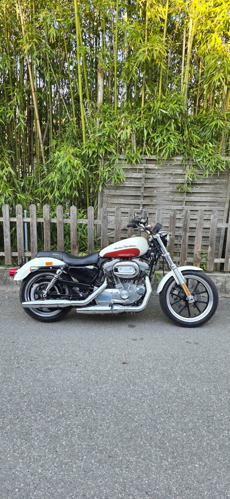 HARLEY-DAVIDSON XL 883 L Sportster Super Low-image-1
