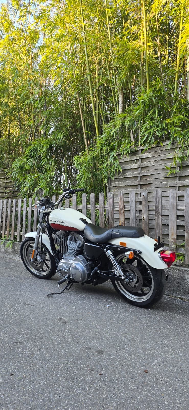 HARLEY-DAVIDSON XL 883 L Sportster Super Low-image-3