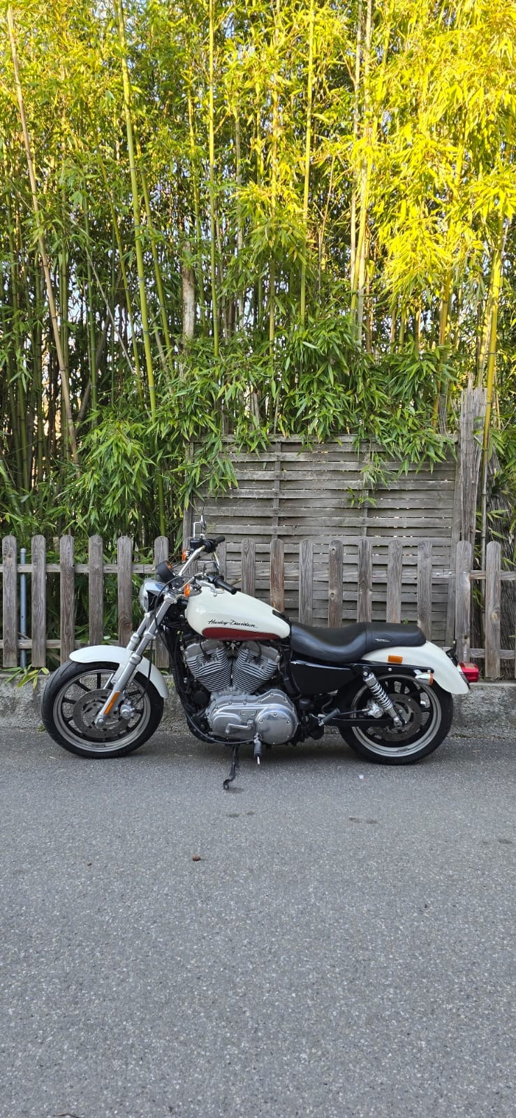 HARLEY-DAVIDSON XL 883 L Sportster Super Low-image-2
