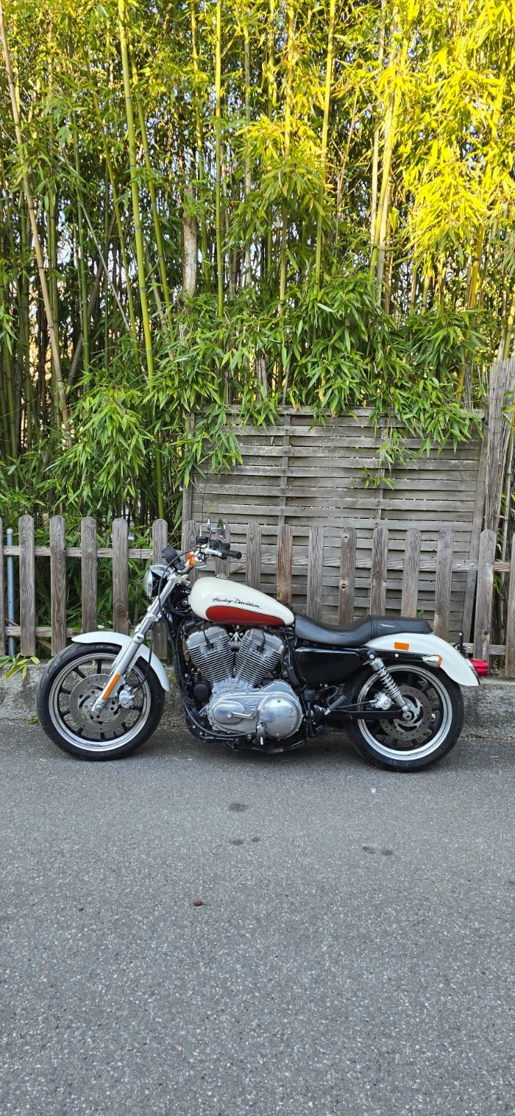 HARLEY-DAVIDSON XL 883 L Sportster Super Low-image-0