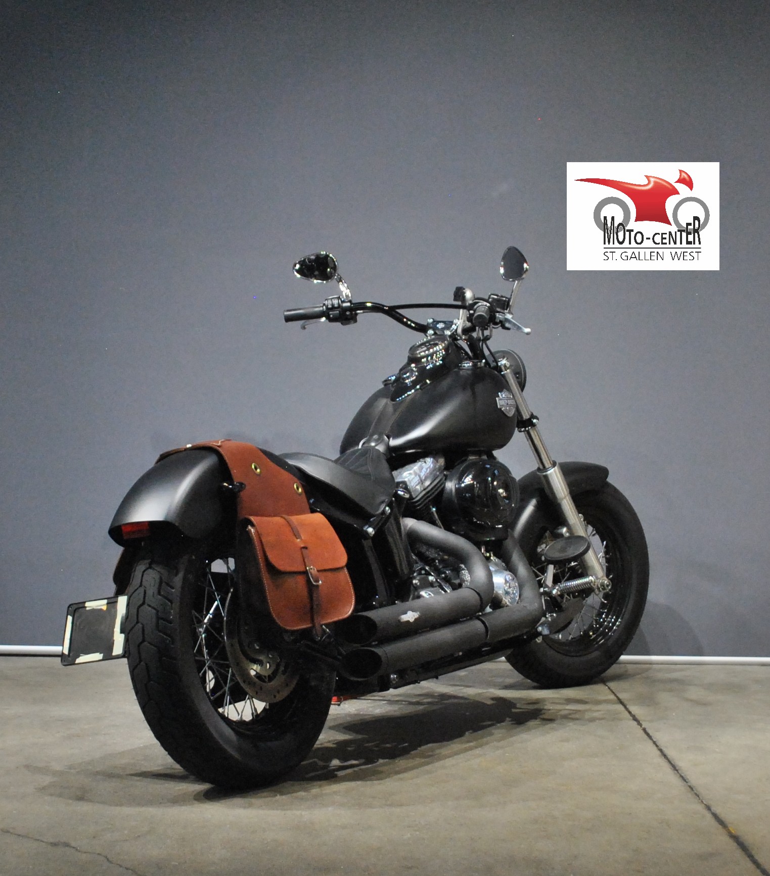 HARLEY-DAVIDSON FLS Softail Slim ABS-image-4