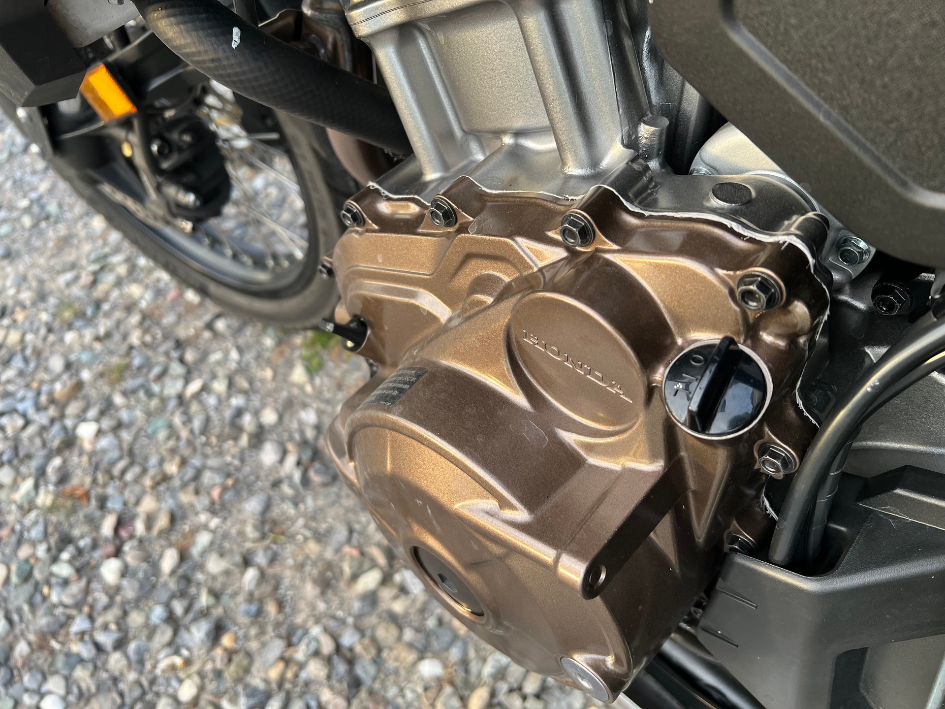 HONDA CRF 1100 Africa Twin-image-7