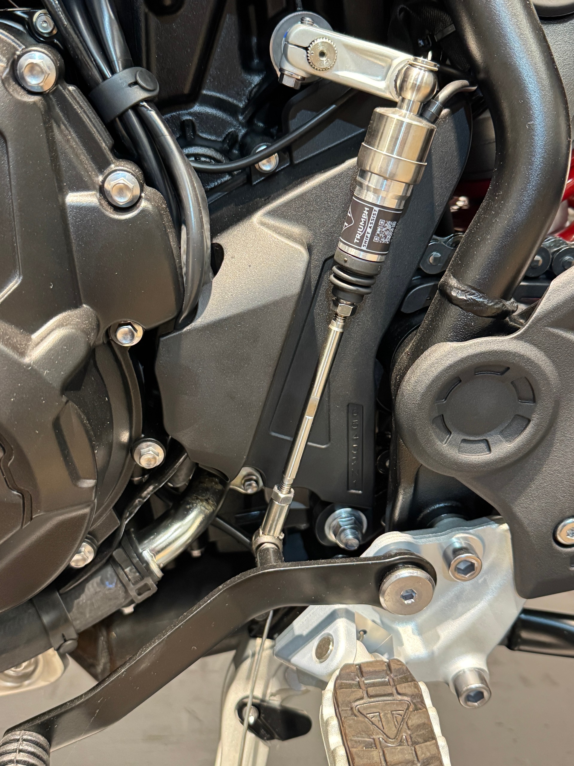 TRIUMPH Tiger 900 Alpine Edition (neu)-image-10