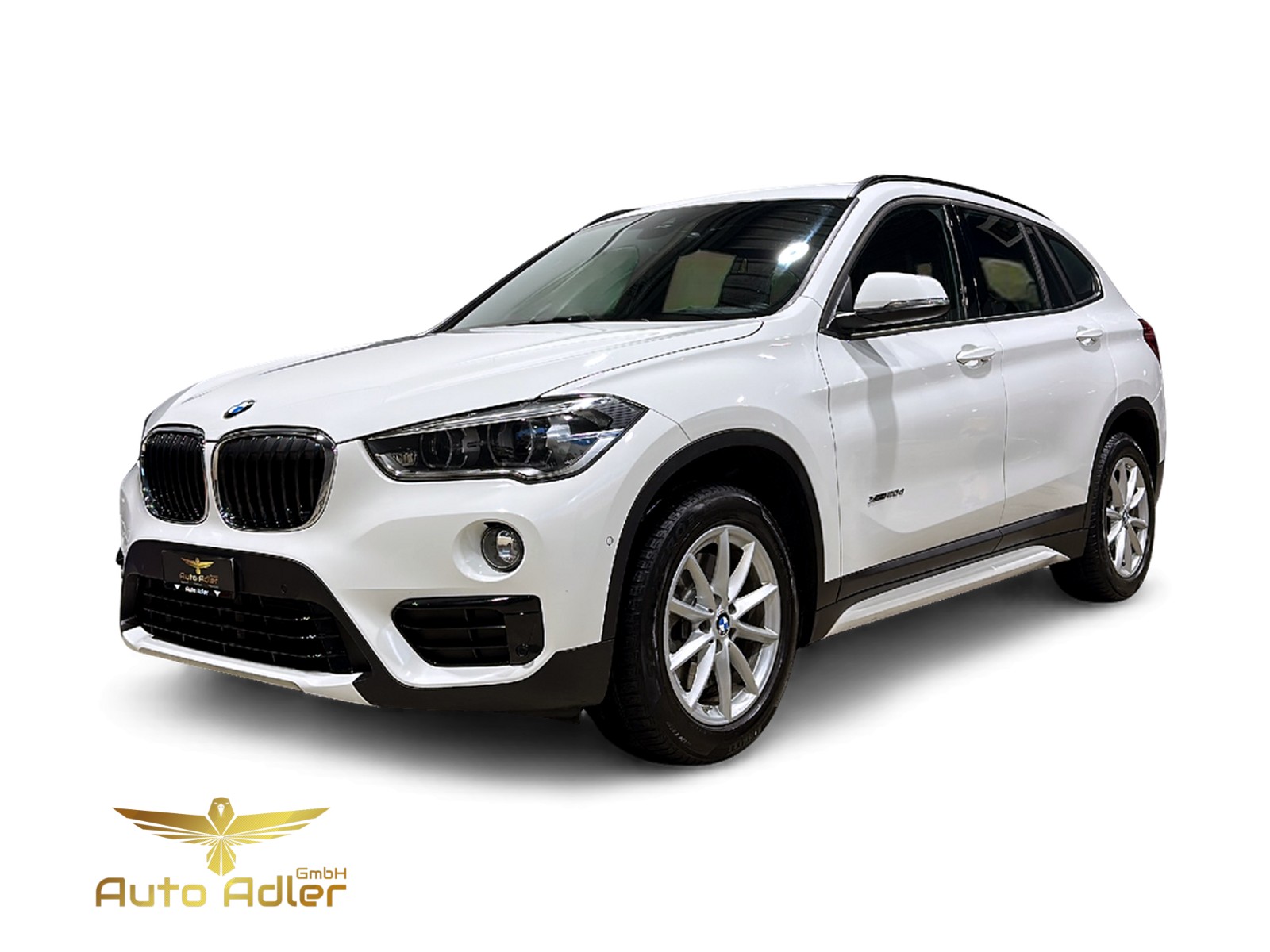 BMW X1 xDrive 20d Sport Line Steptronic-showroom-element-2