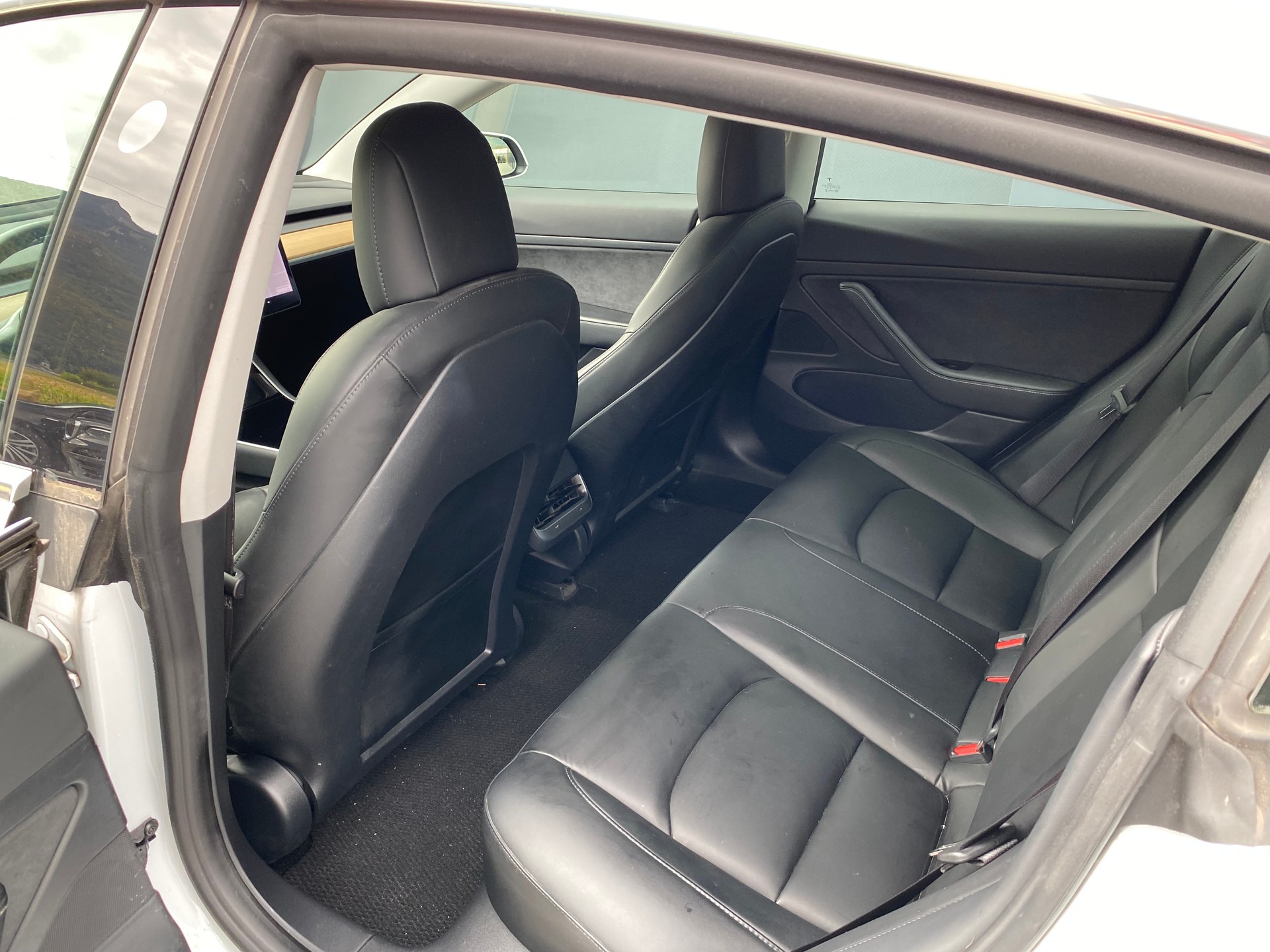 TESLA Model 3 Standart Range Plus-image-16