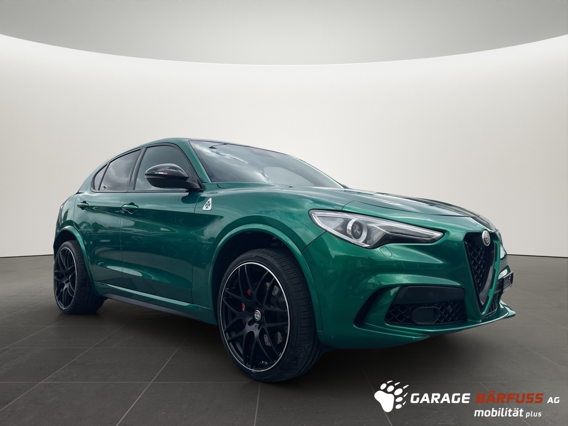ALFA ROMEO Stelvio 2.9 V6 Biturbo Q4 Quadrifoglio Sky-image-6
