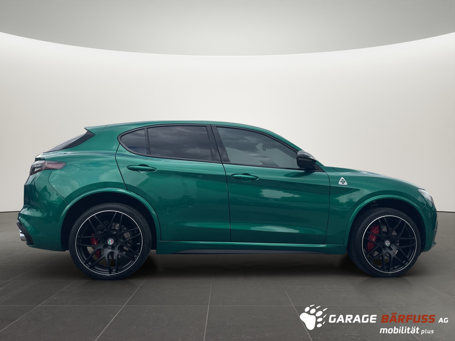 ALFA ROMEO Stelvio 2.9 V6 Biturbo Q4 Quadrifoglio Sky-image-5