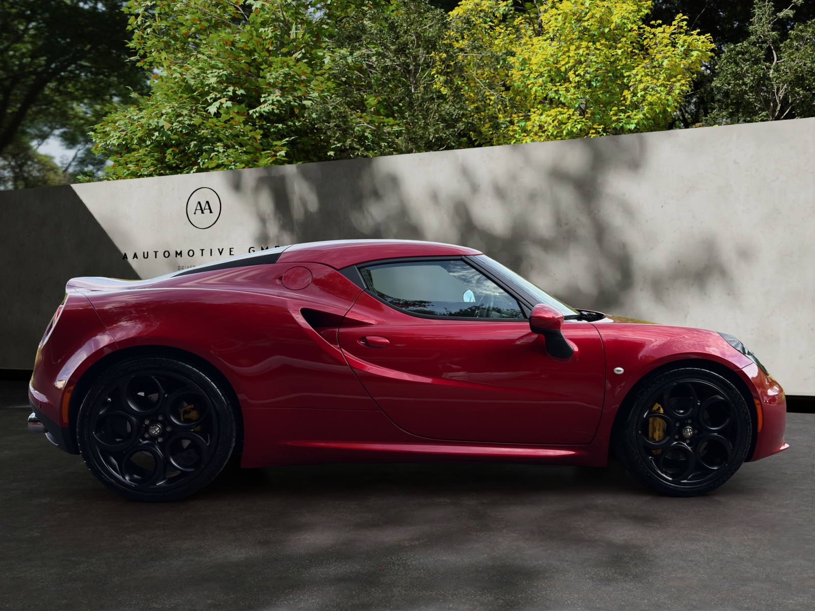 ALFA ROMEO 4C 1750 TBi TCT-image-6