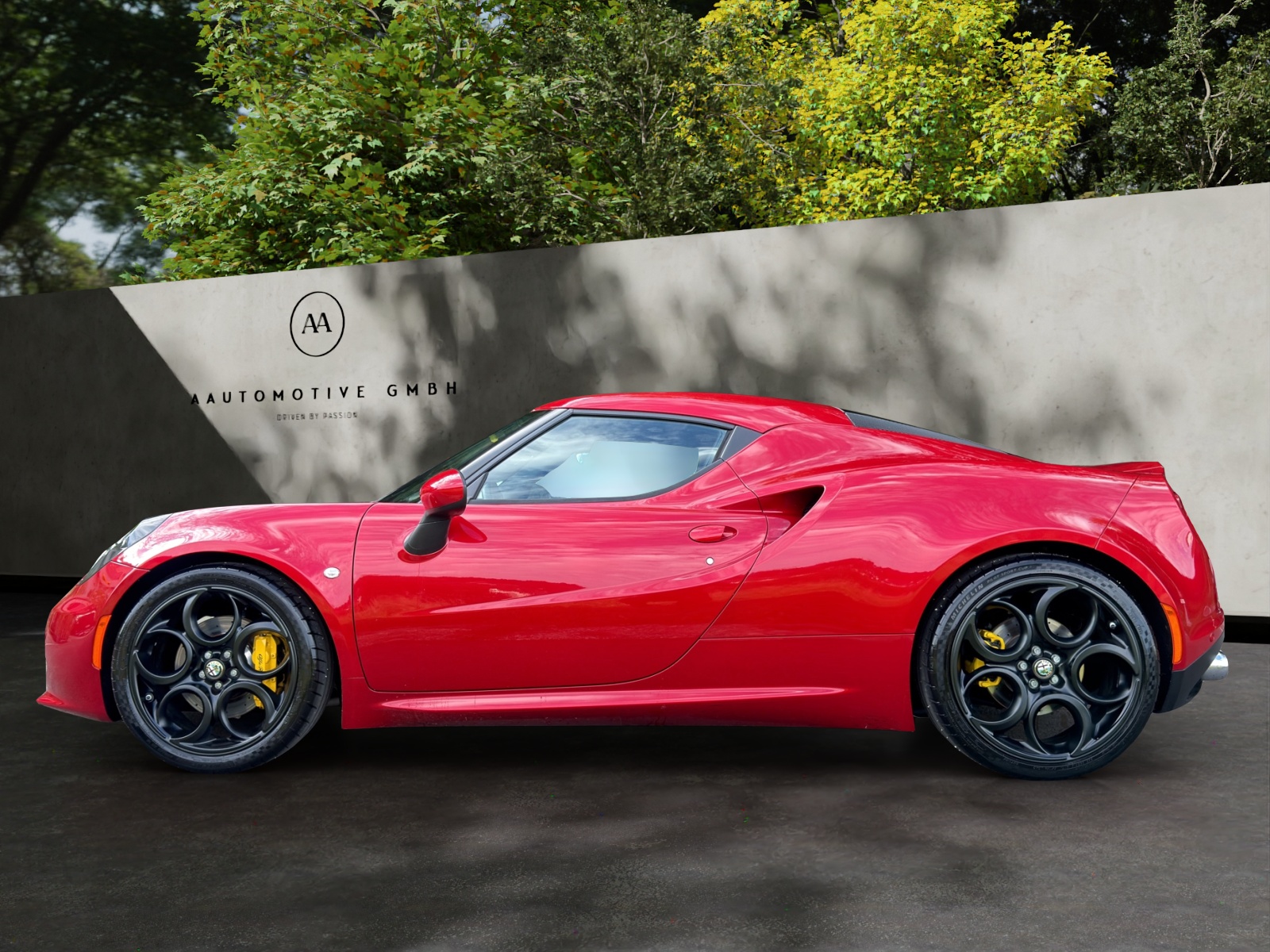 ALFA ROMEO 4C 1750 TBi TCT-showroom-element-2