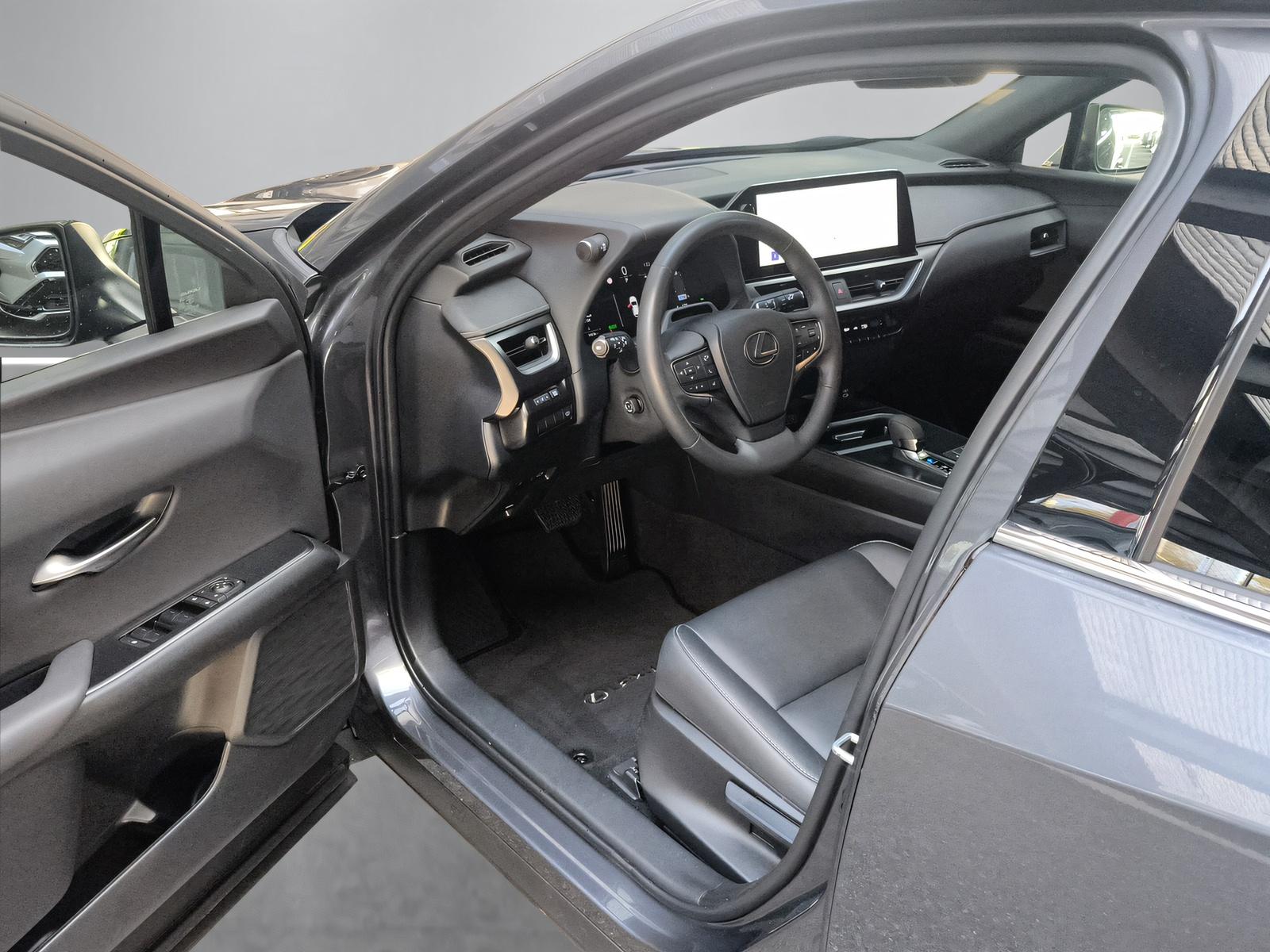 LEXUS UX 300h F-Line-image-17