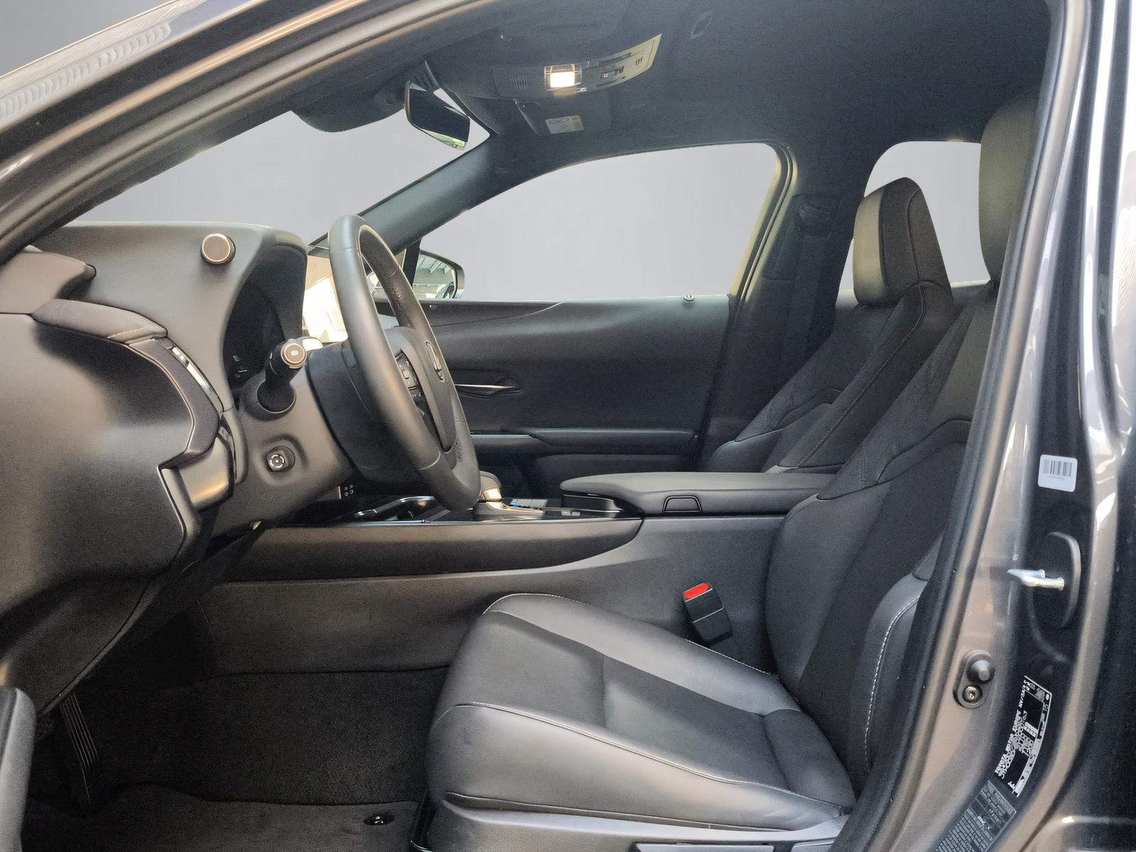 LEXUS UX 300h F-Line-showroom-element-3