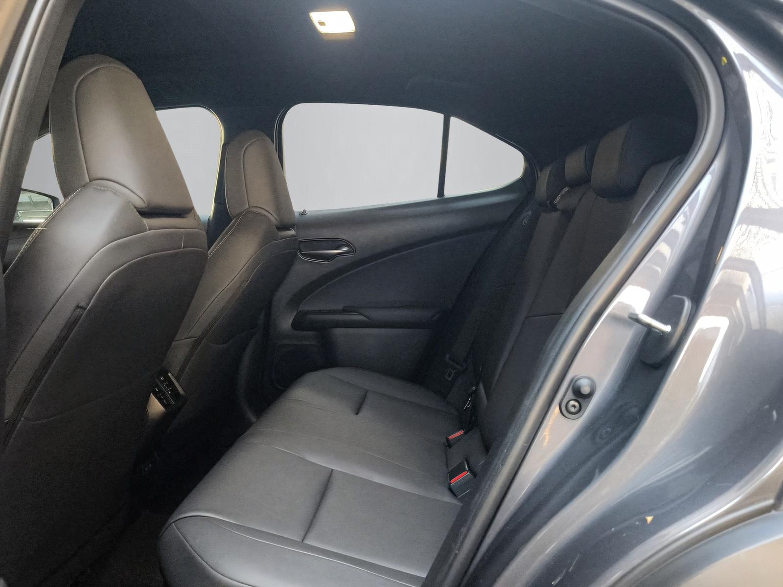 LEXUS UX 300h F-Line-image-10