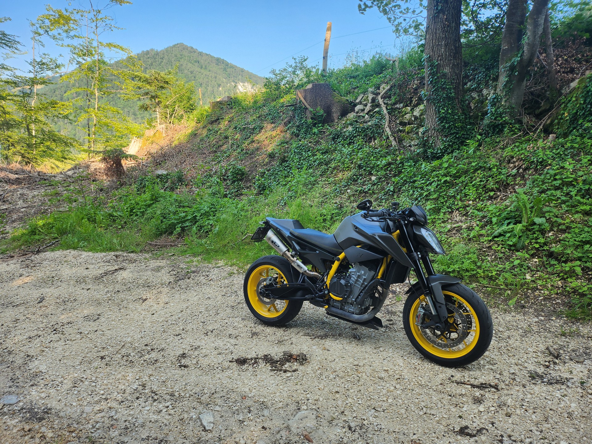 KTM 890 Duke R-image-0