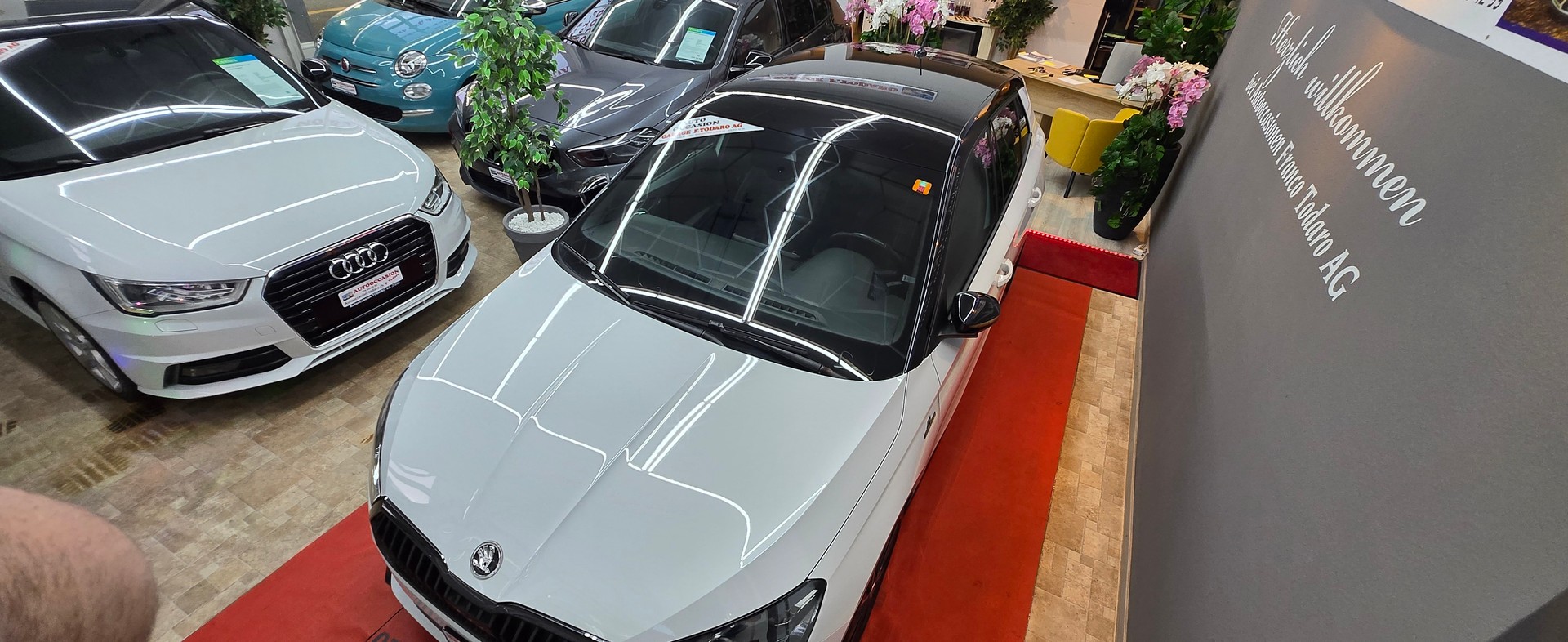 SKODA Fabia 1.5 TSI Monte Carlo DSG-image-7