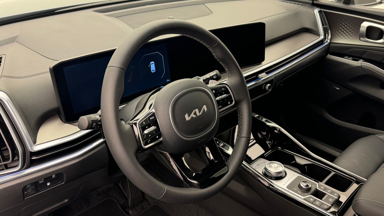 KIA Sorento 1.6 T-GDi PHEV 7P Limited-image-6