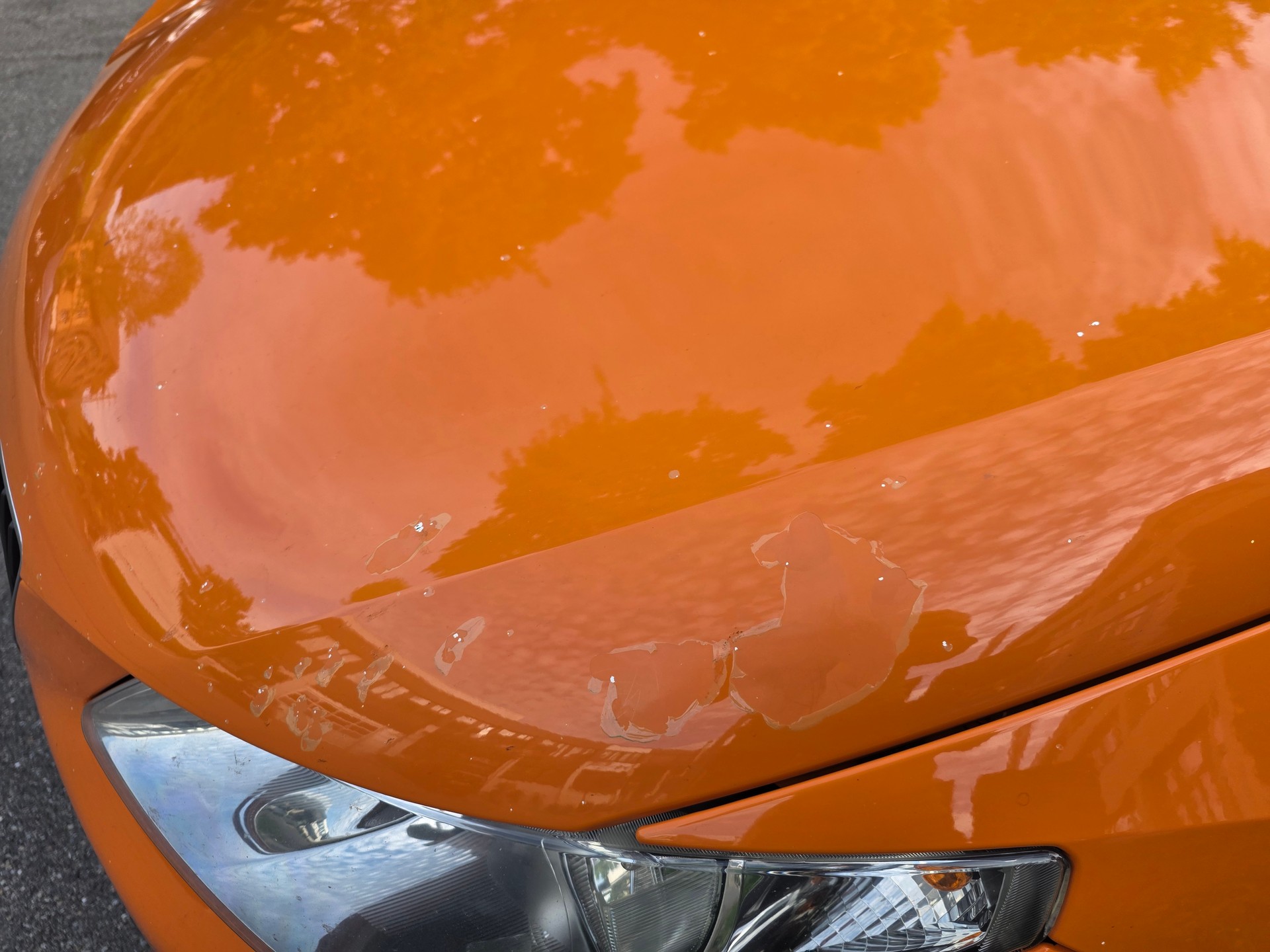 SEAT Ibiza 1.9 TDI Sport-image-6