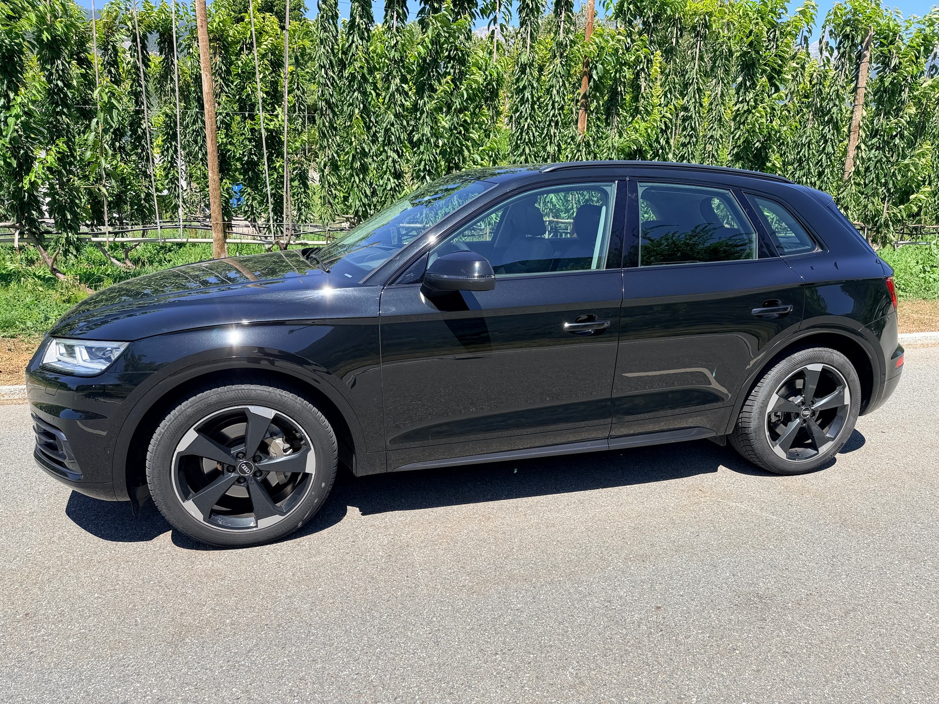 AUDI Q5 45 TFSI design quattro S-tronic-showroom-element-1