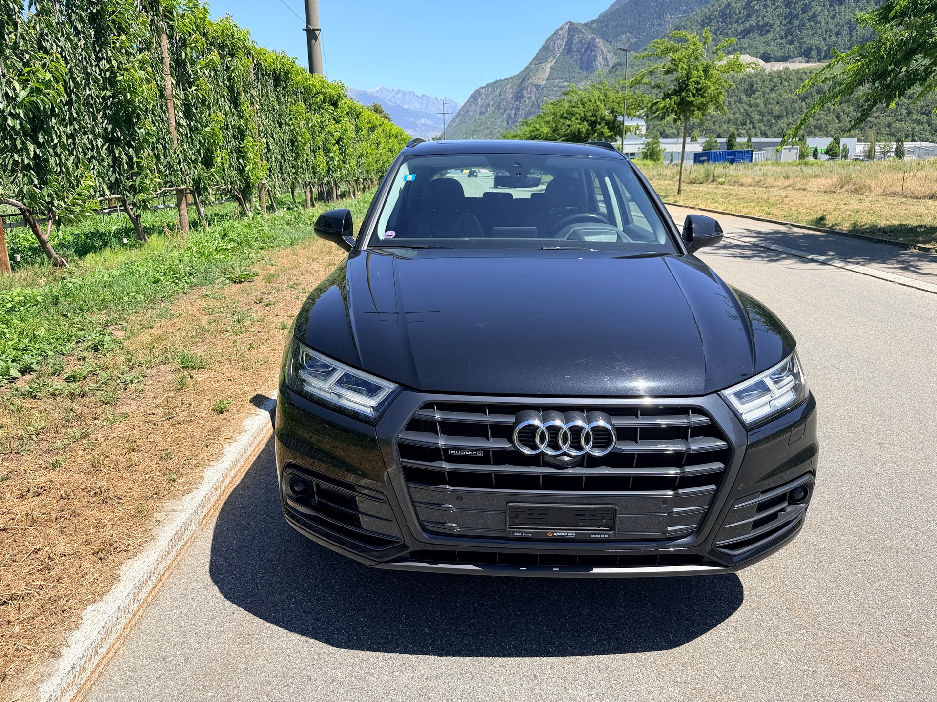 AUDI Q5 45 TFSI design quattro S-tronic-showroom-element-2