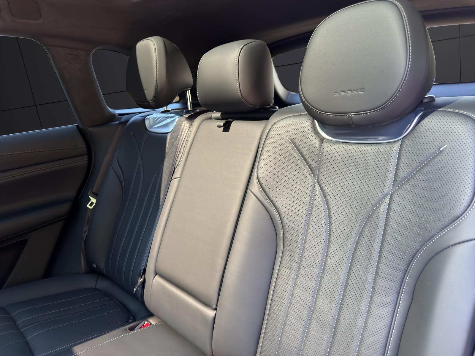 XPENG G9 Performance AWD-image-13