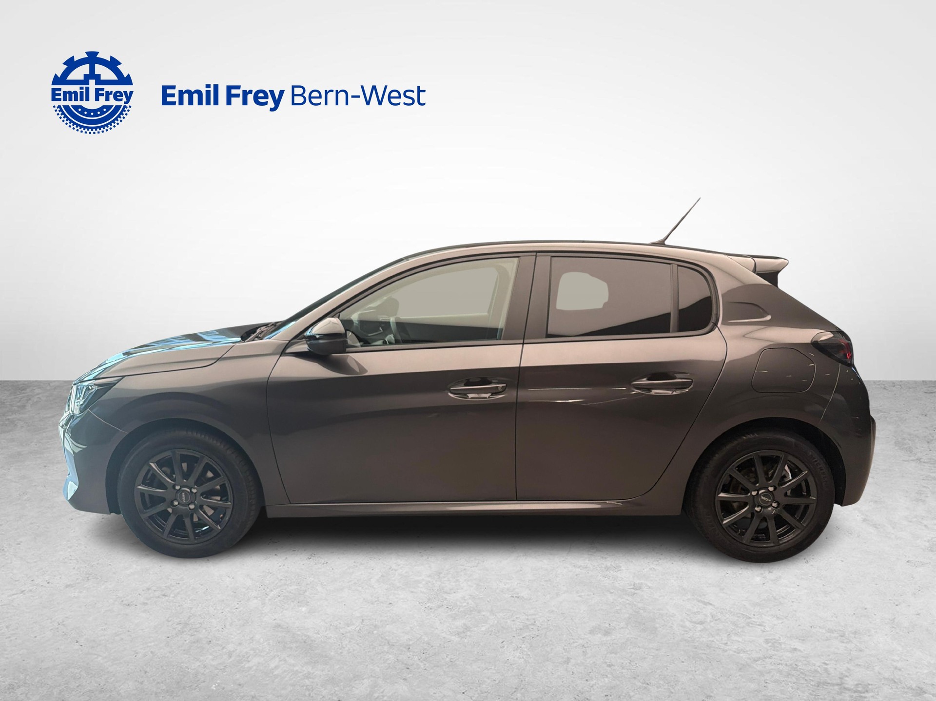 PEUGEOT 208 1.2 PureTech 100 Active Pack-showroom-element-1