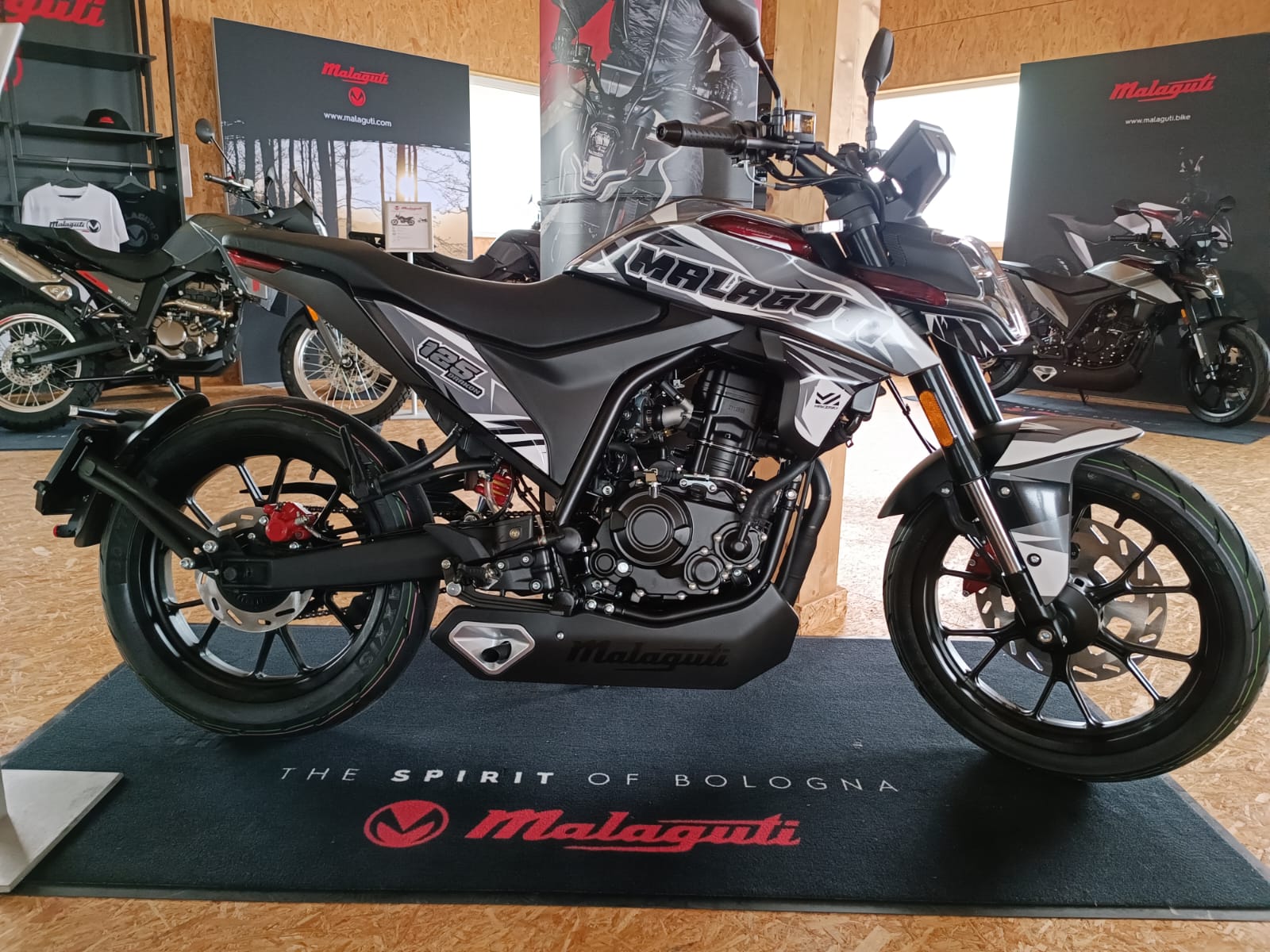 MALAGUTI Drakon 125 ABS-image-11