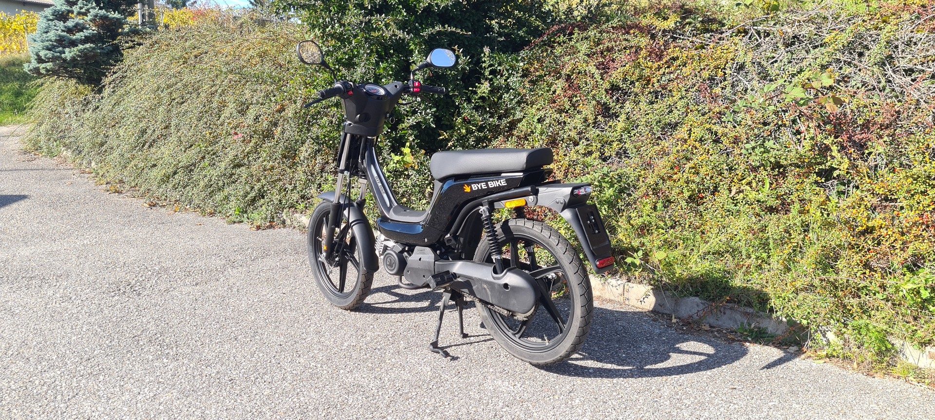 BYE BIKE-image-4