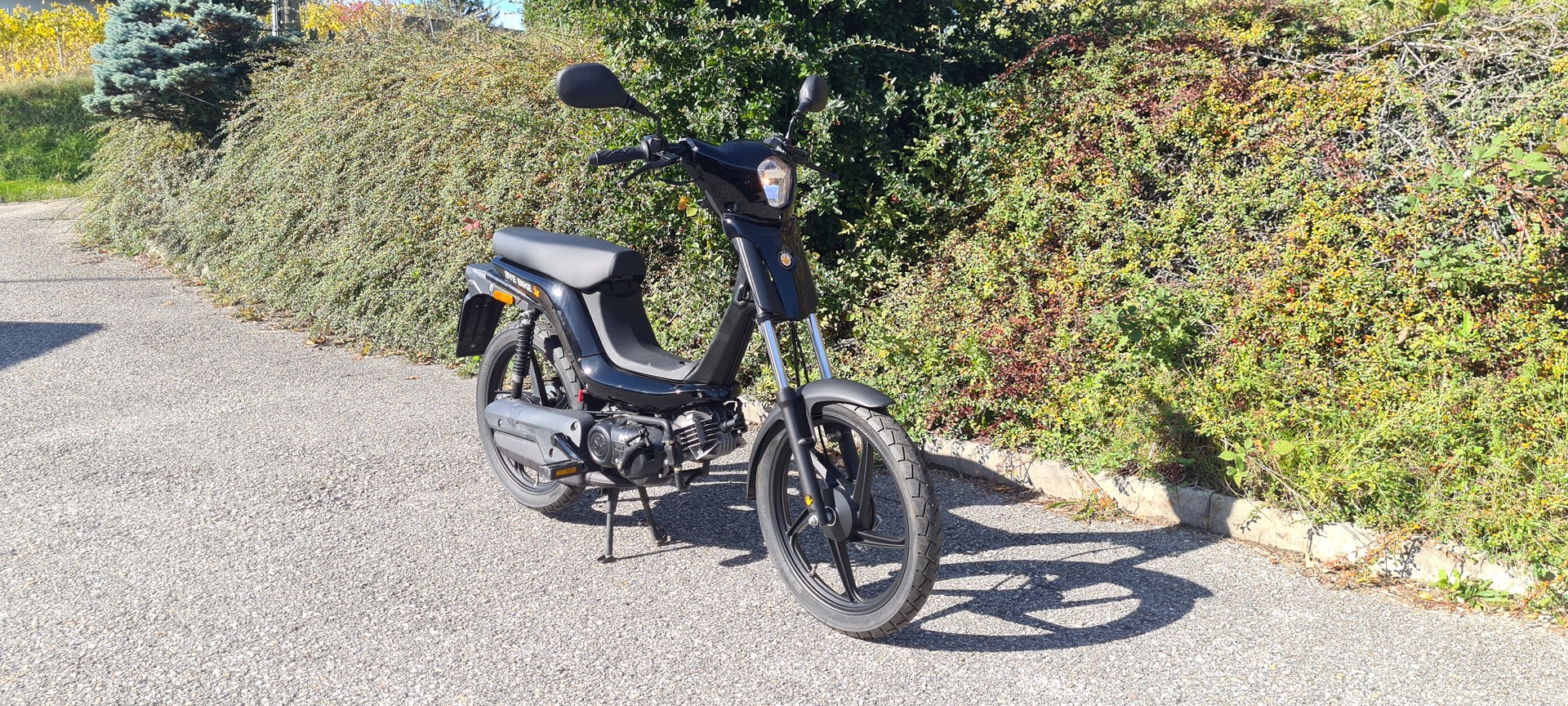 BYE BIKE-image-1