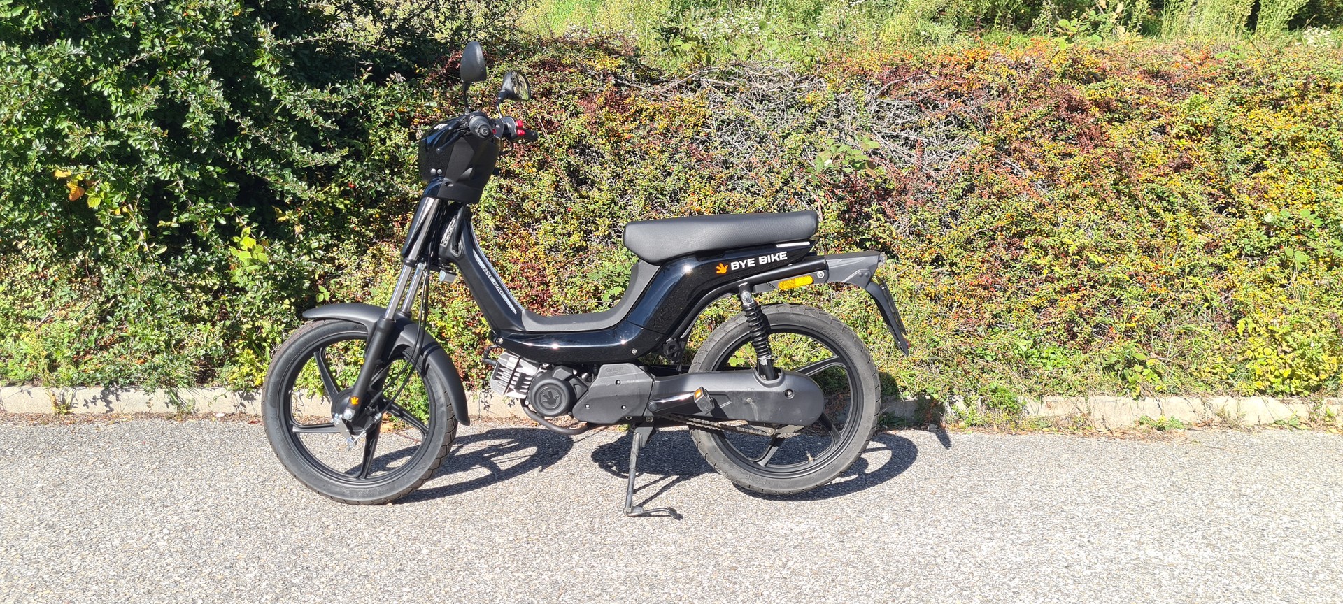 BYE BIKE-image-3