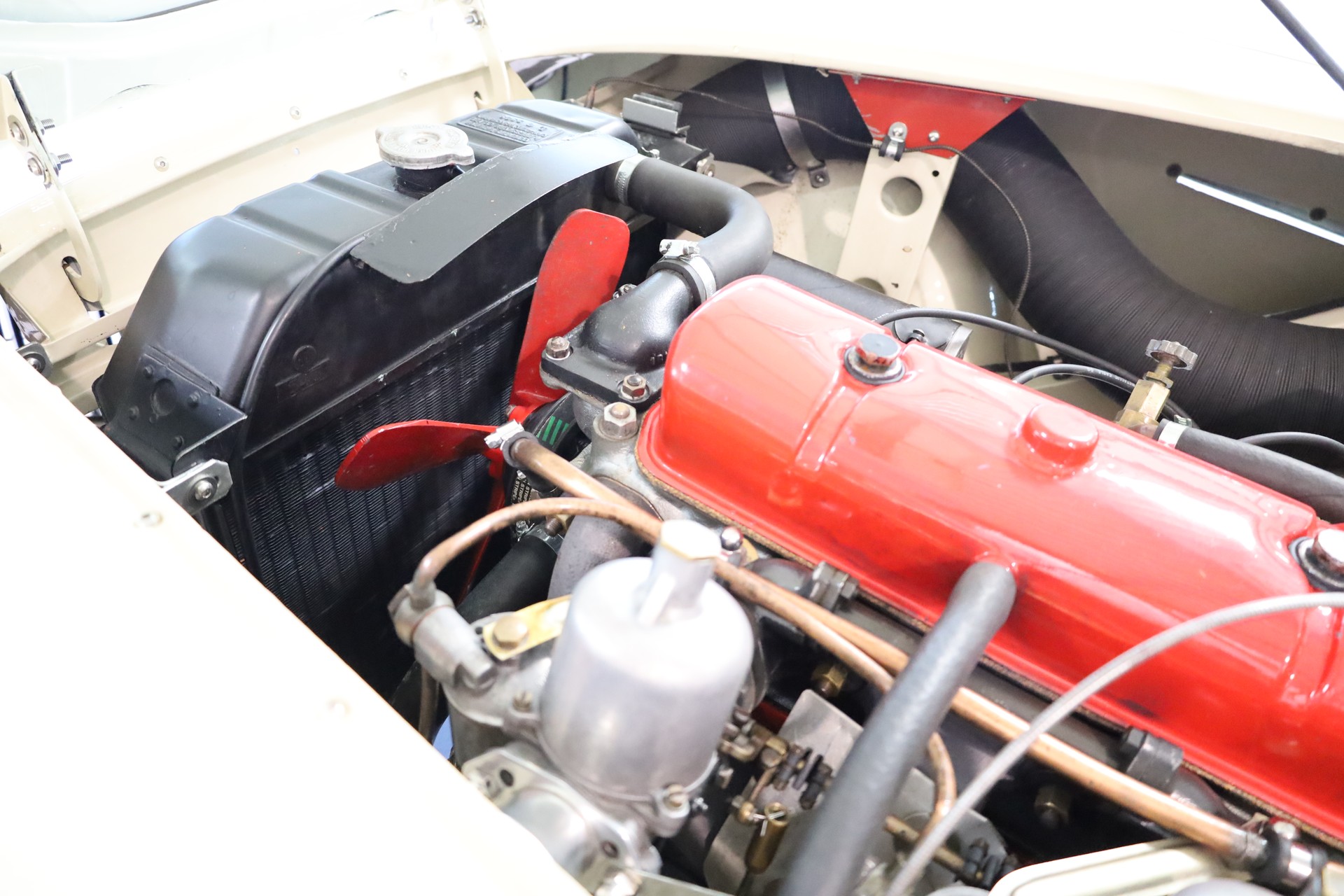AUSTIN-HEALEY 100/4 BN1-image-29