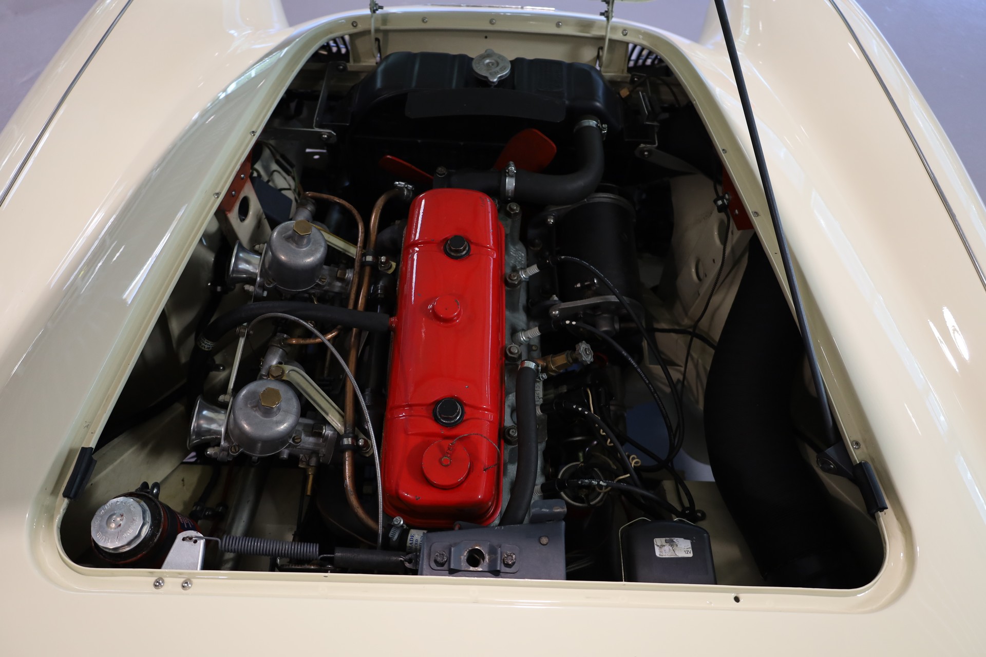 AUSTIN-HEALEY 100/4 BN1-image-25