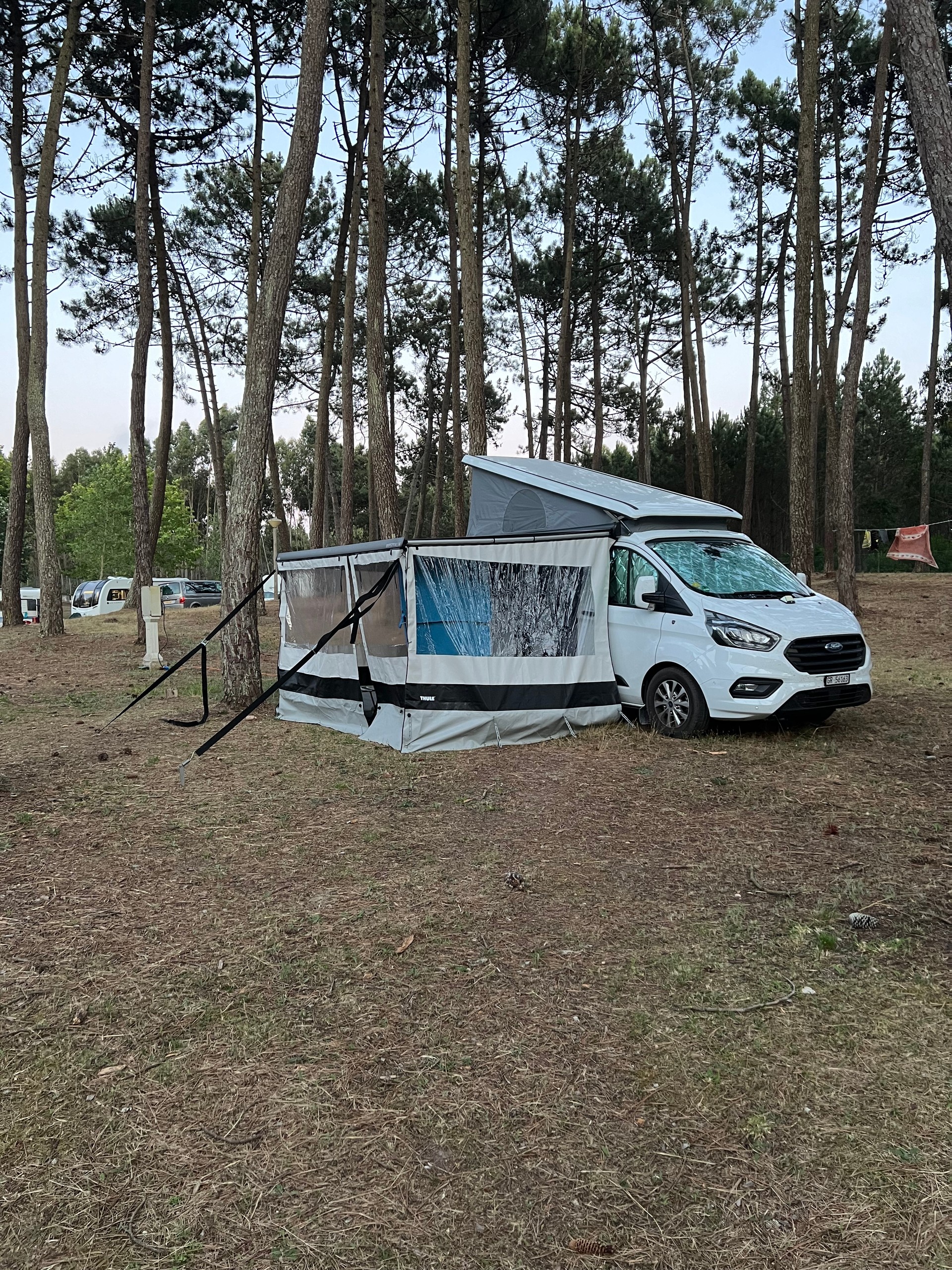 FORD Nugget Plus L2-image-1