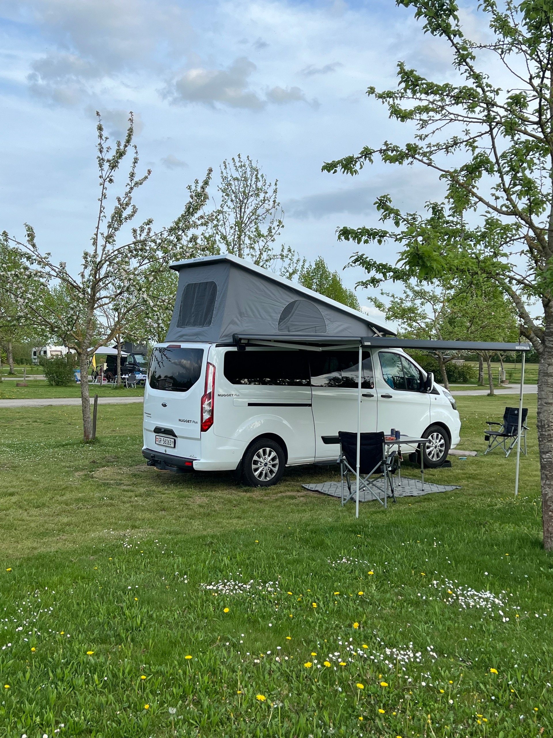 FORD Nugget Plus L2-image-2