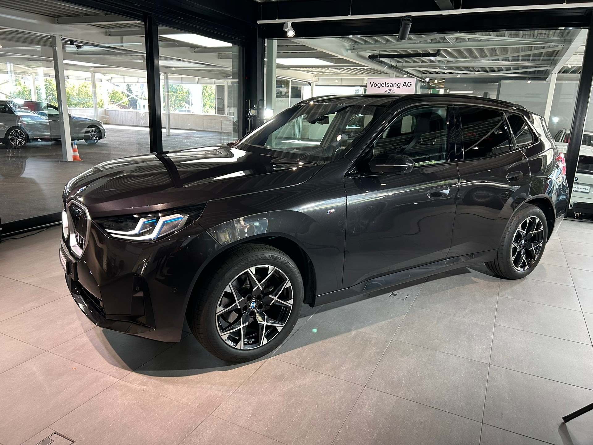BMW X3 xDrive 48V 20d M Sport-showroom-element-2