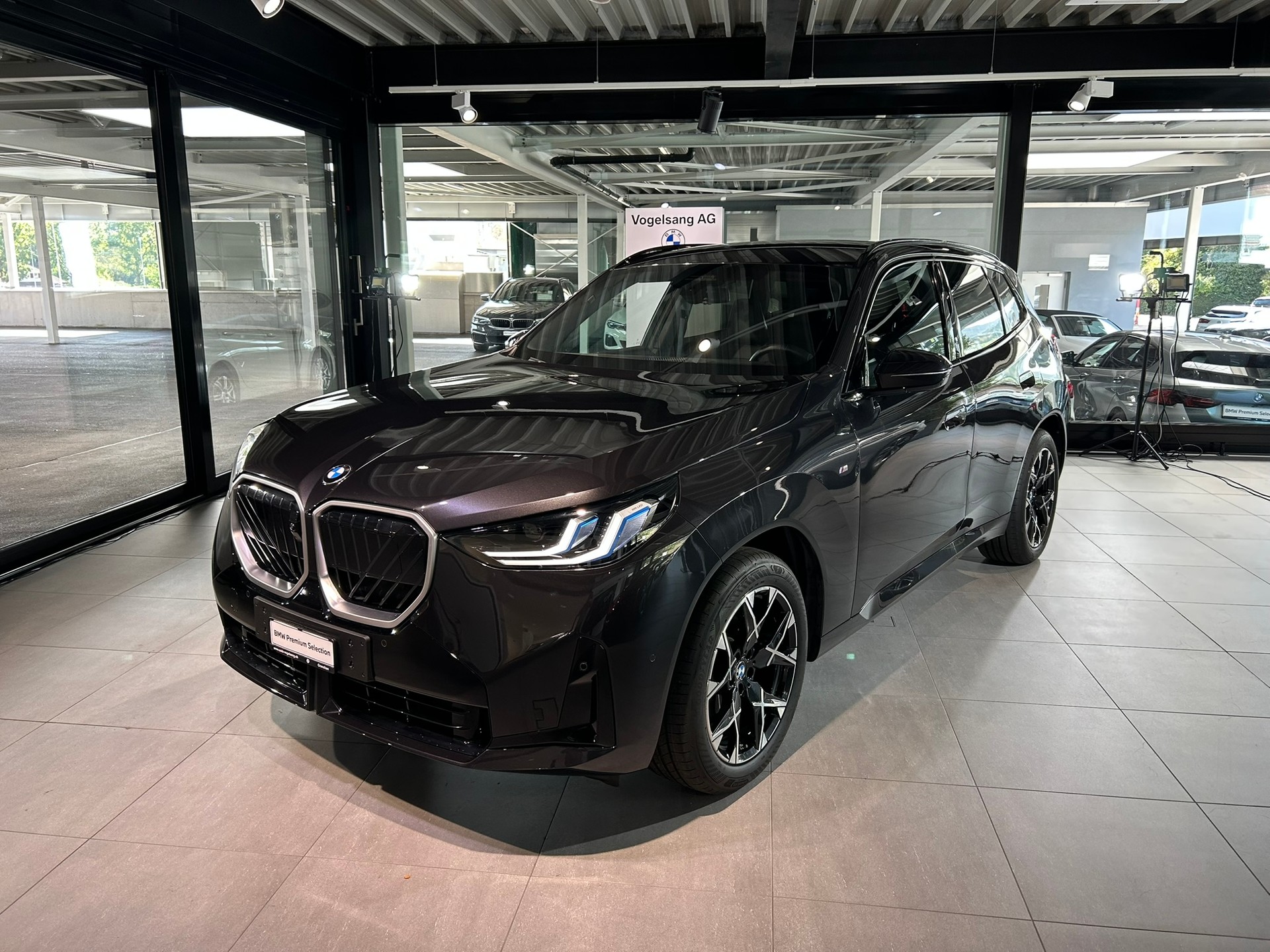 BMW X3 xDrive 48V 20d M Sport-showroom-element-1