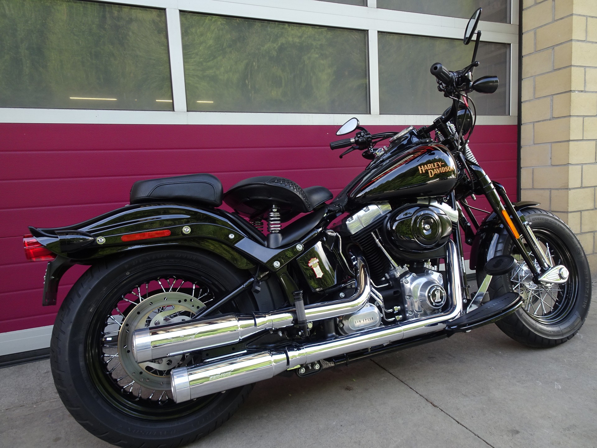 HARLEY-DAVIDSON FLSTSB Cross Bones-image-8