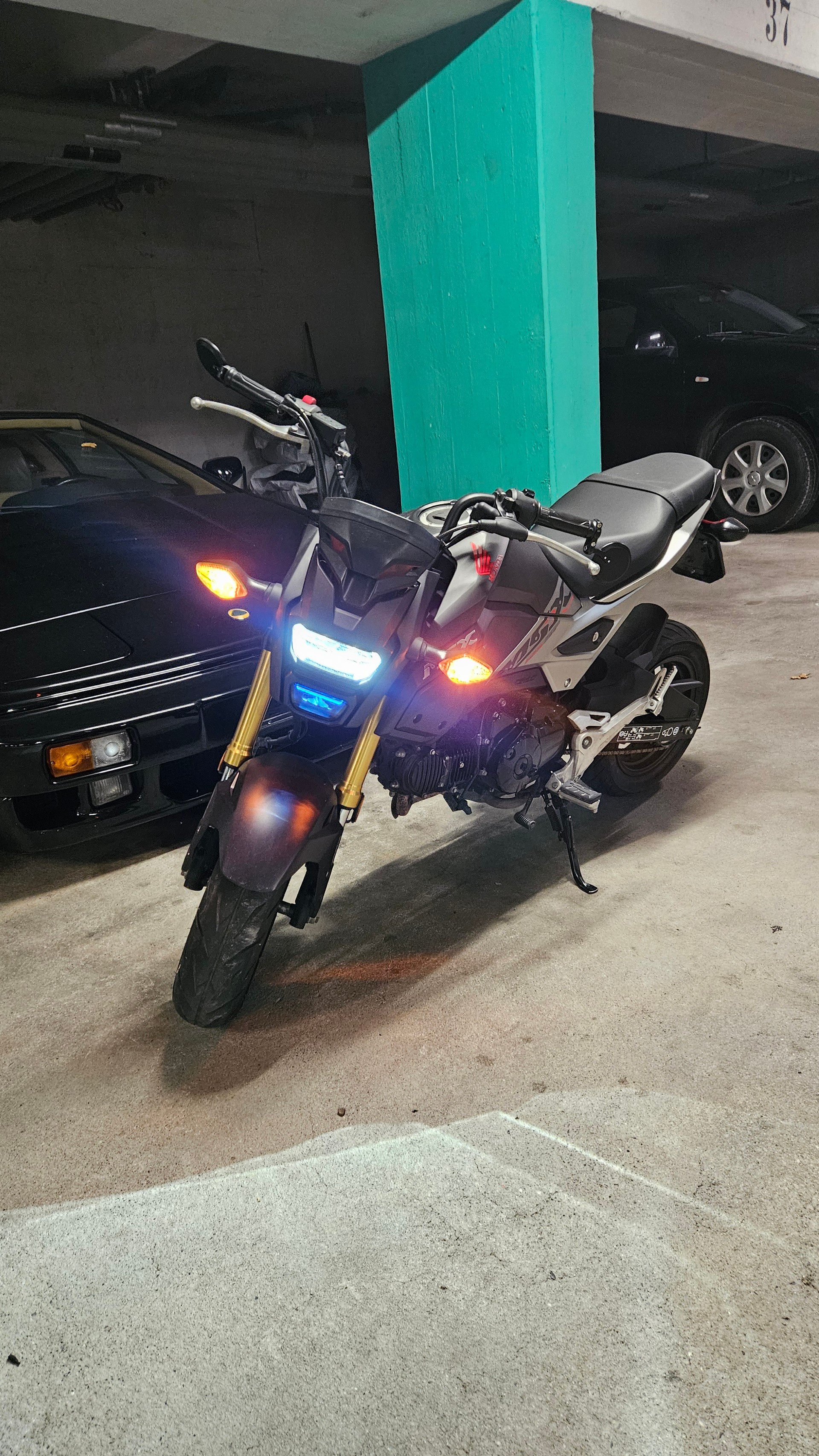 HONDA MSX 125 ABS-image-1