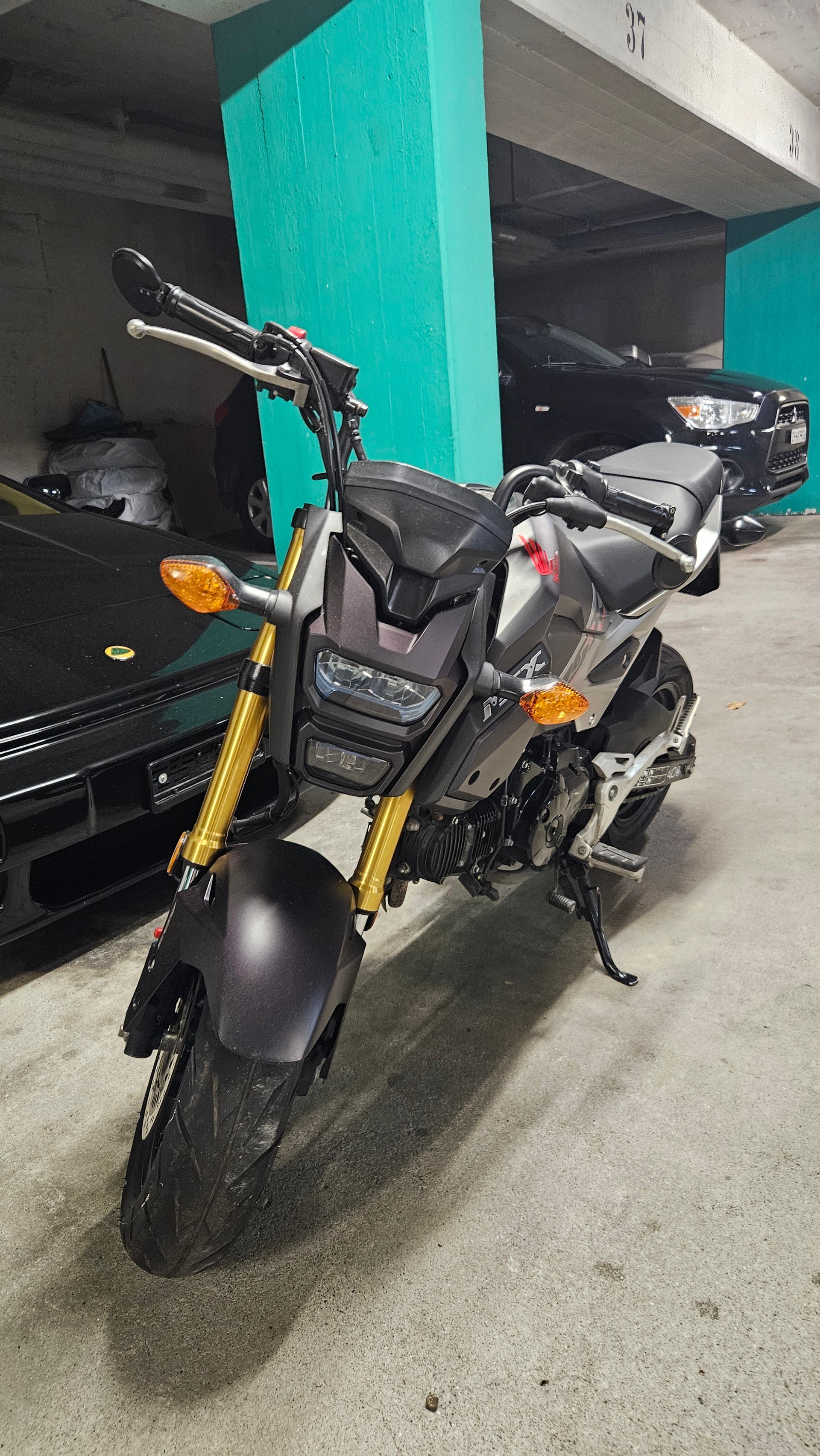 HONDA MSX 125 ABS-image-8