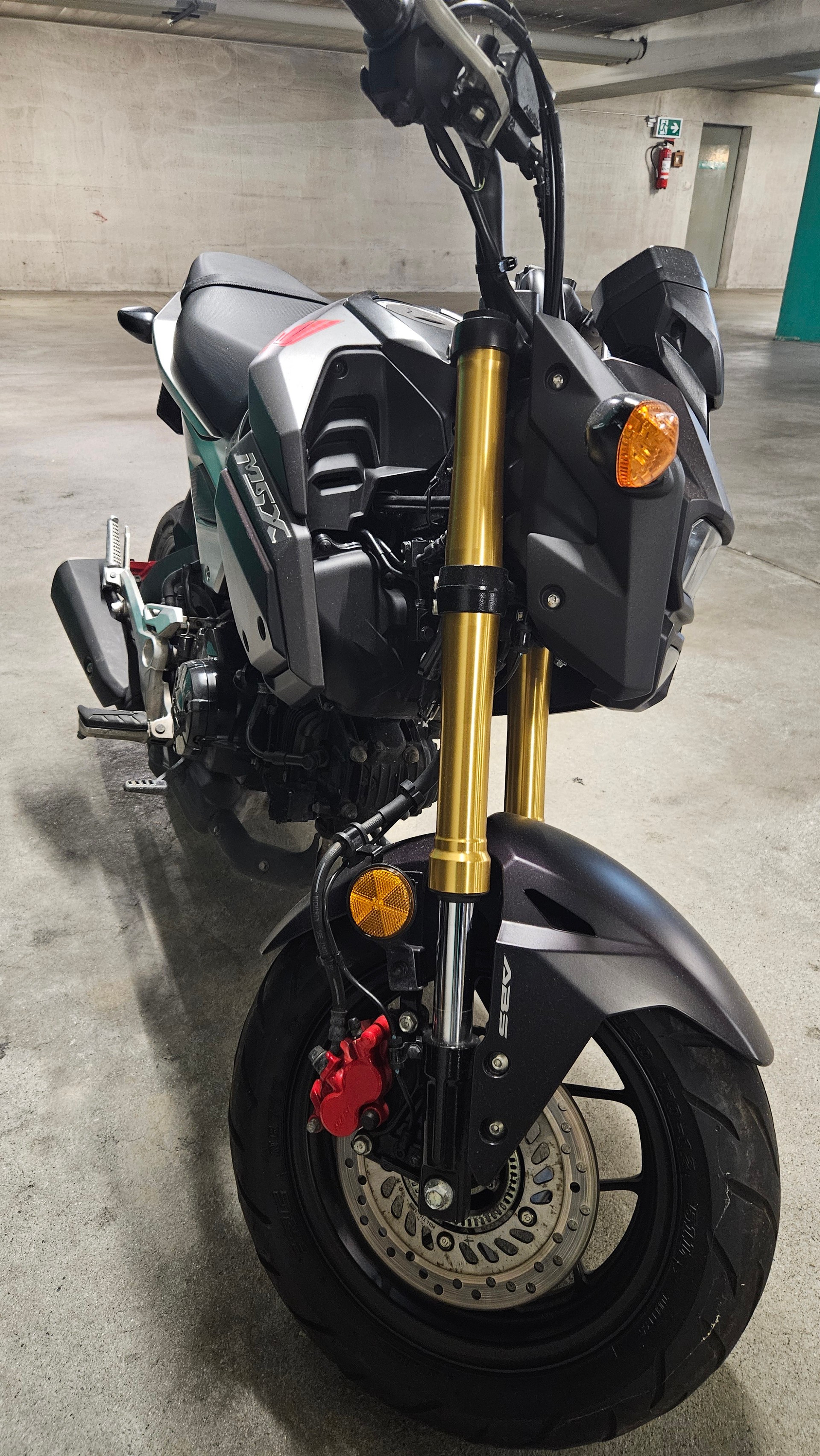 HONDA MSX 125 ABS-image-10