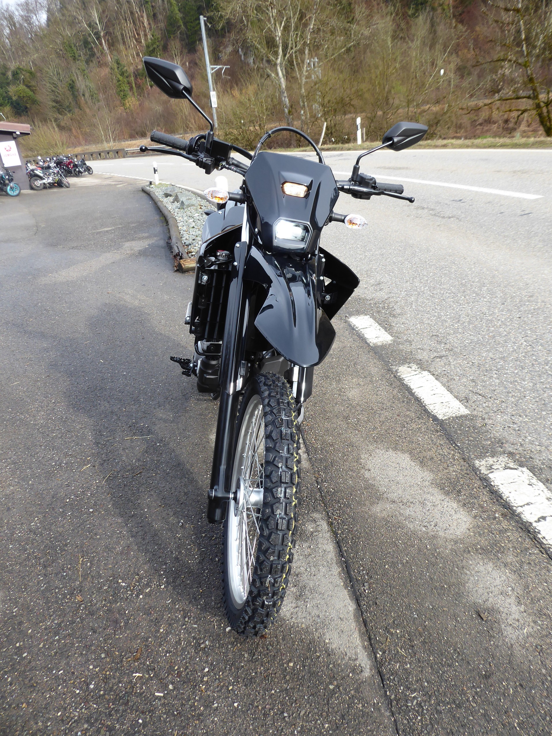 YAMAHA WR 125-image-1