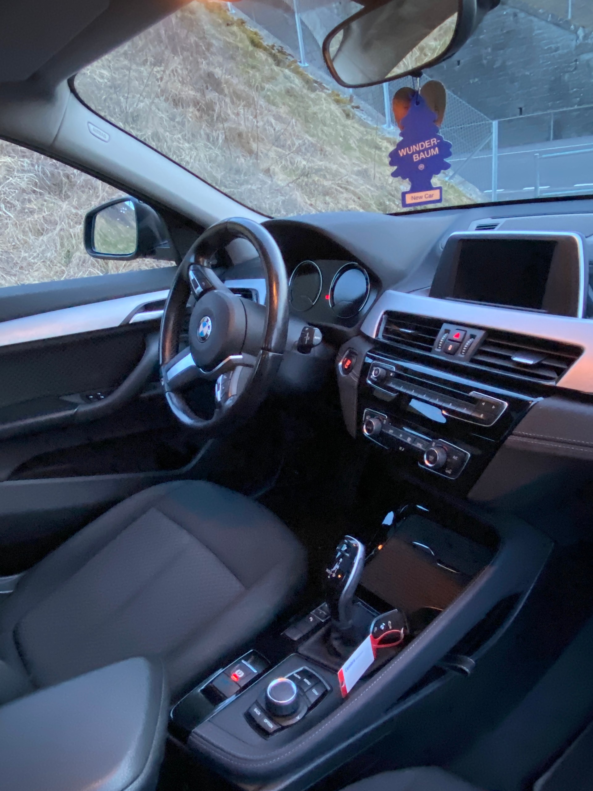 BMW X2 sDrive 18d Steptronic-image-9