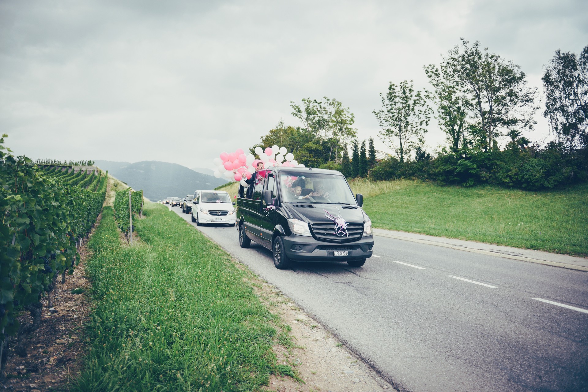 MERCEDES-BENZ Cabriobus (D02)-image-9
