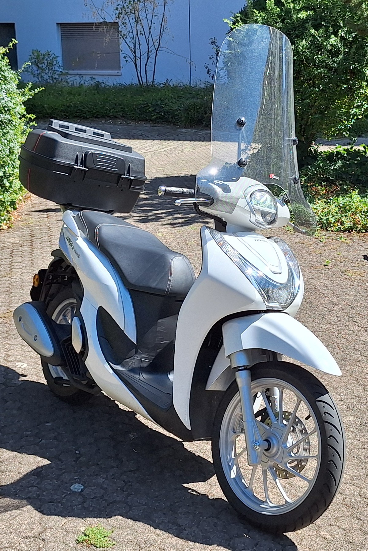 HONDA Honda FSH 125 SH Mode-image-3