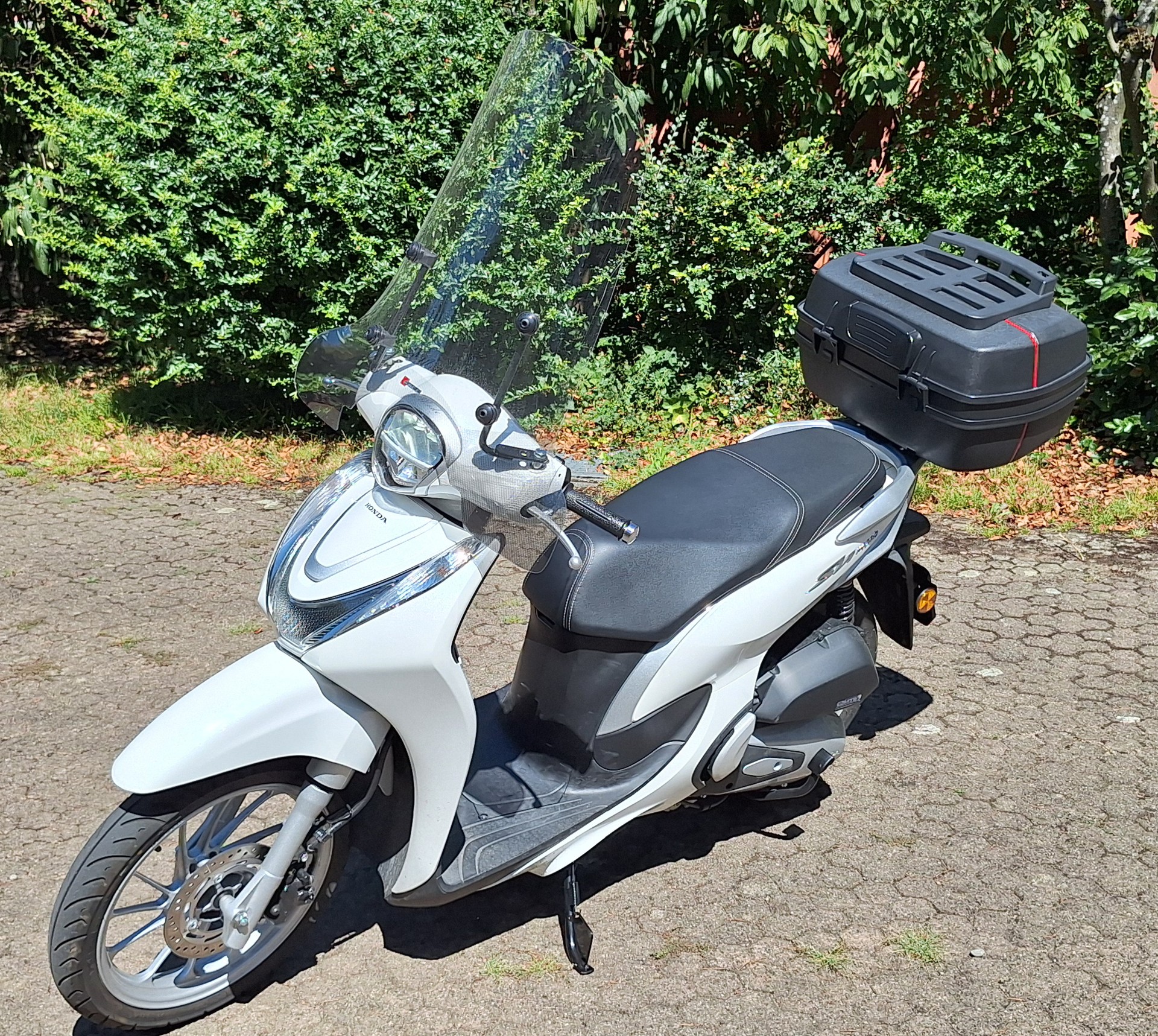 HONDA Honda FSH 125 SH Mode-image-2