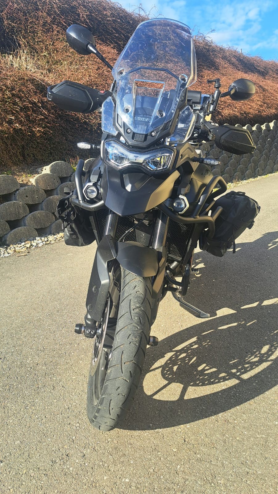 TRIUMPH Tiger 900 GT Pro-image-4